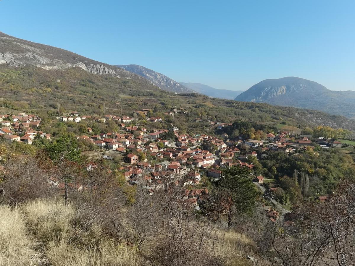 Konak -Guest House -Ramonda Serbika Ni Exteriör bild