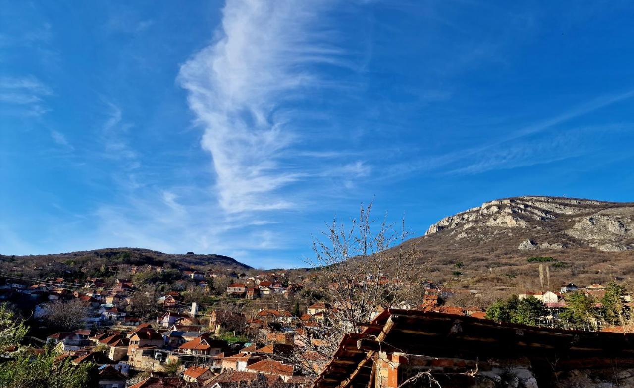 Konak -Guest House -Ramonda Serbika Ni Exteriör bild